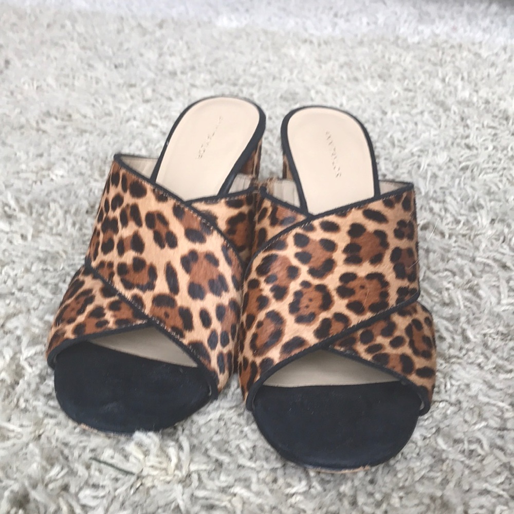 Ann Taylor Animal Print Mules